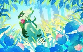 Floragato (A2b 006)