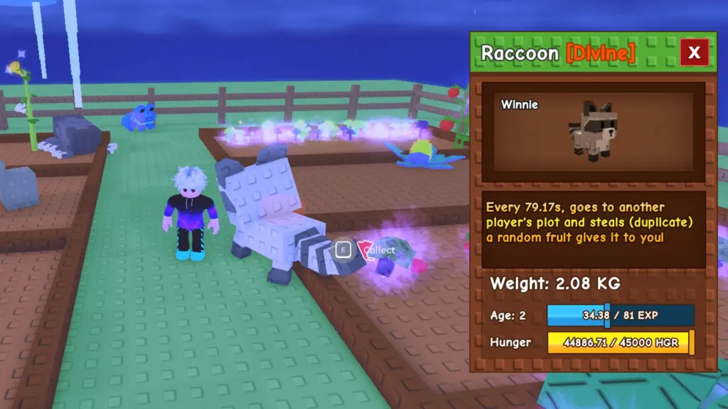 Raccoon Pet in Grow a Garden (Roblox)