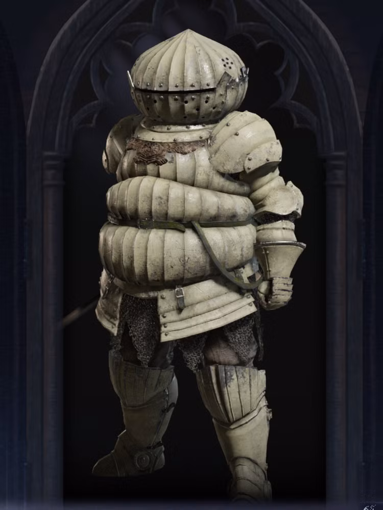 Catarina (Siegmeyer/Siegward Skin)