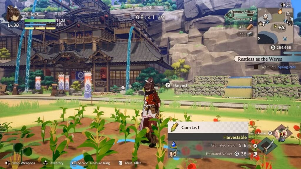 Best Crops to Grow in the Summer Village