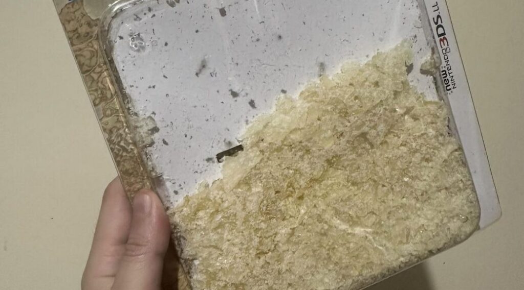 Nintendo Case Dust