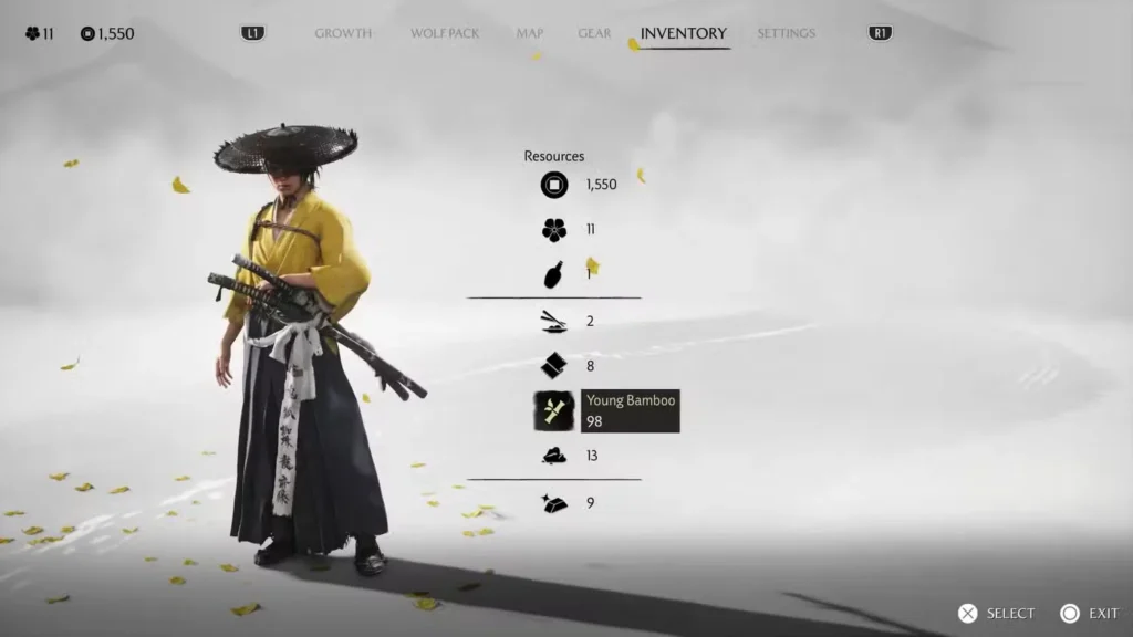 Items and Resources in Ghost of Yotei